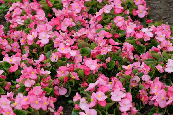 Top 10 luminaires modernes pour sublimer chaque déco chez delisse