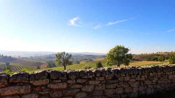 Top 5 couvreurs qualifiés dans le Var pour vos projets